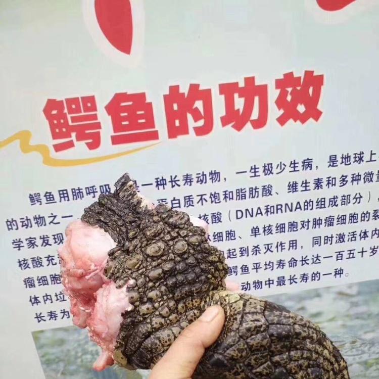 旦叔