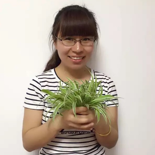 一顺99