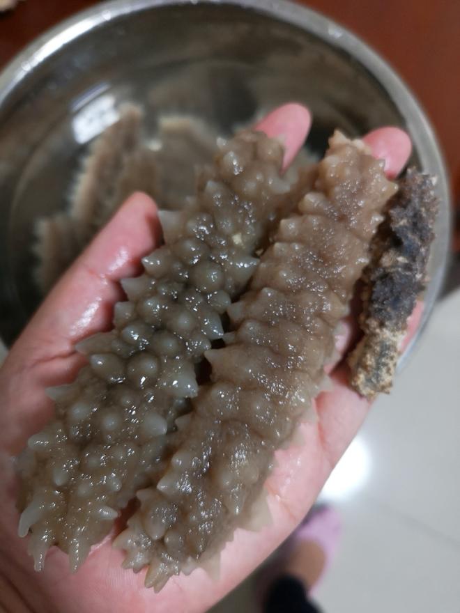 印尼野生海参泡发方法的做法
