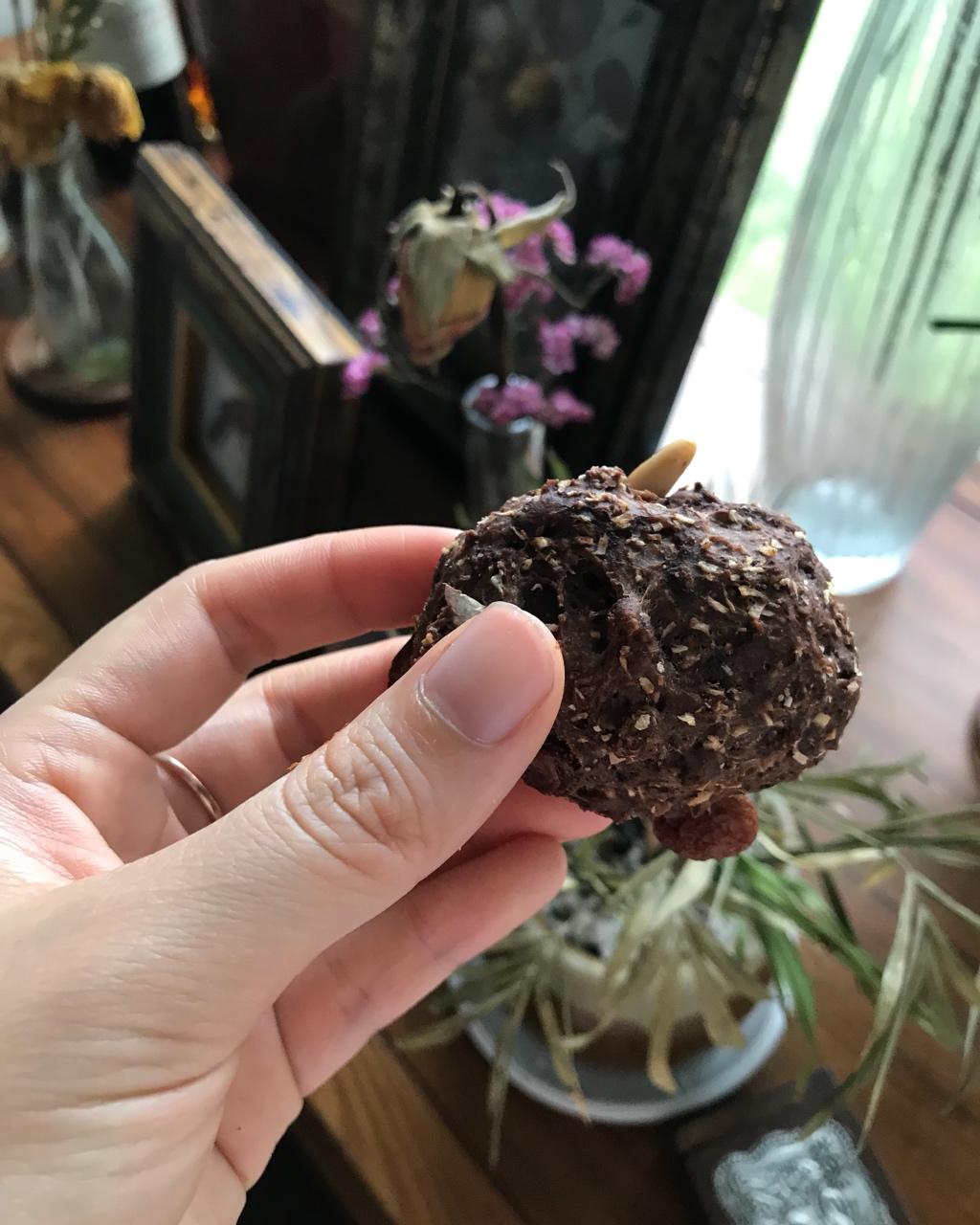 无油胚芽巧克力饼干【健康小食】——伪软曲奇