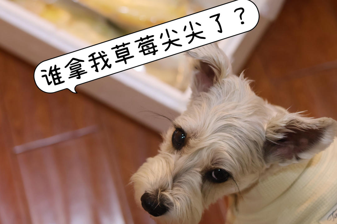 草莓🍓蛋糕