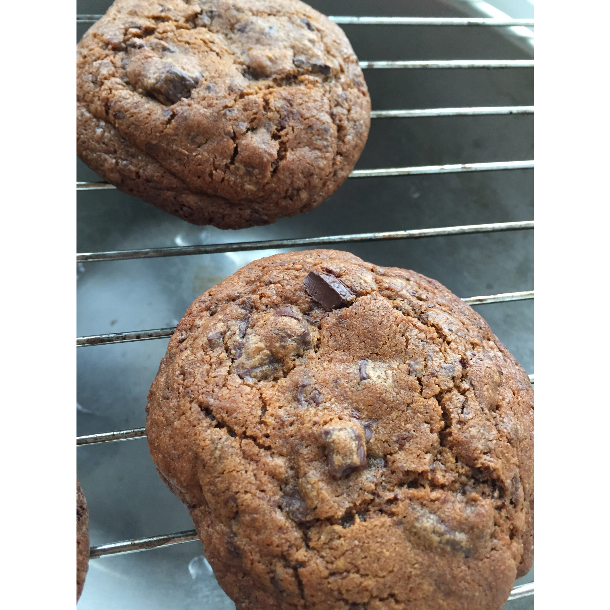 巧克力曲奇 - 纽约时代周刊终极配方（德州农民）