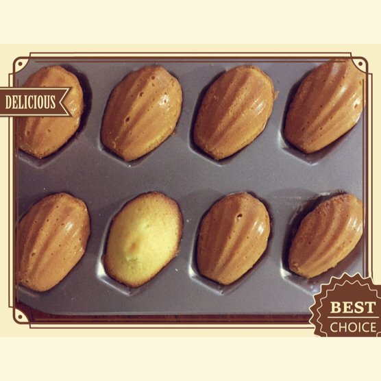 玛德琳（蓝带方）