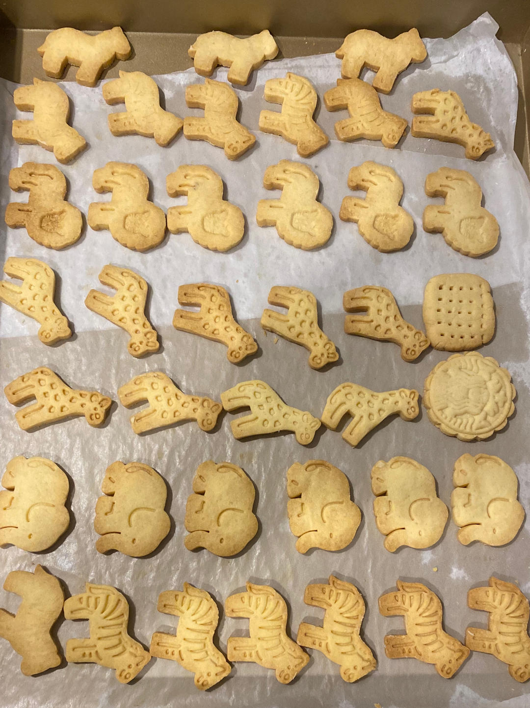 小朋友们超爱的卡通小饼干