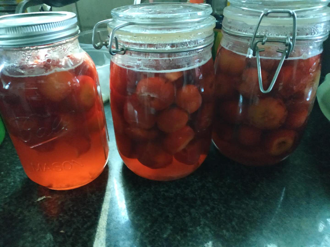 山楂罐头(酸酸甜甜，开胃可口)