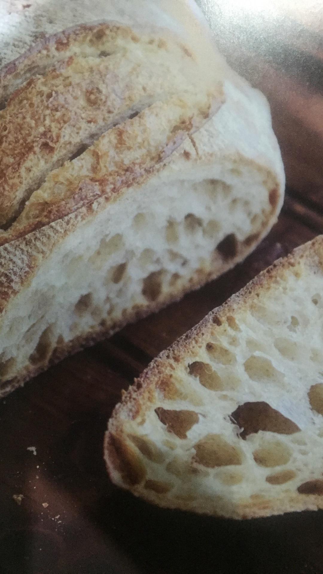 我的天然酵种日记的做法