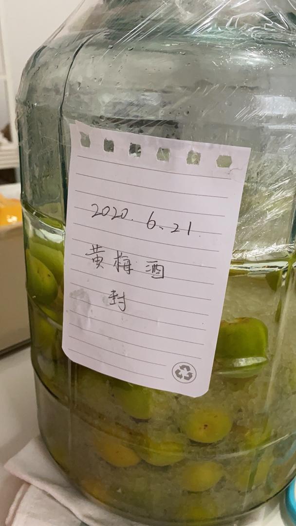梅子酒