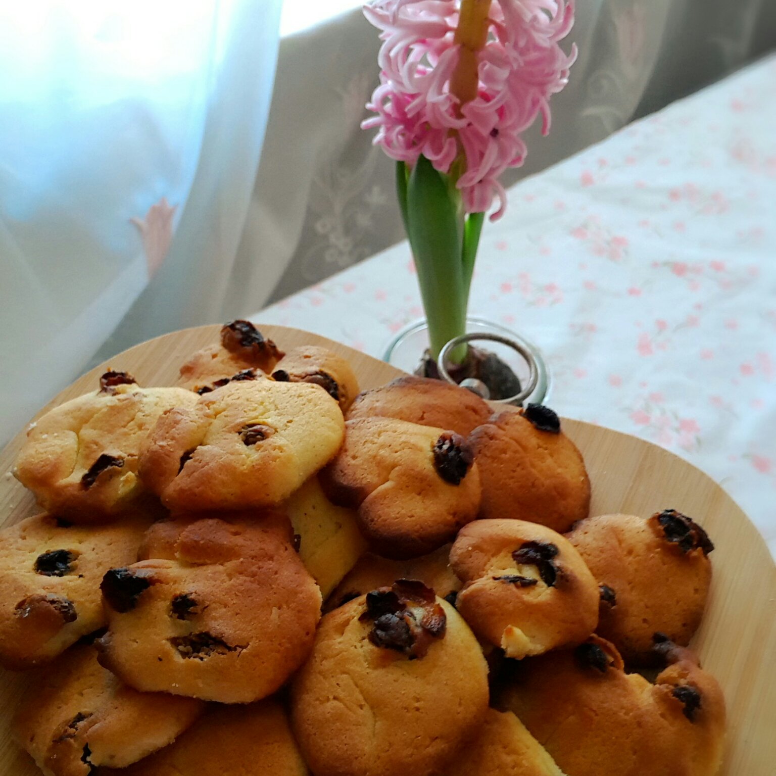 蔓越莓饼干 蔓越莓曲奇