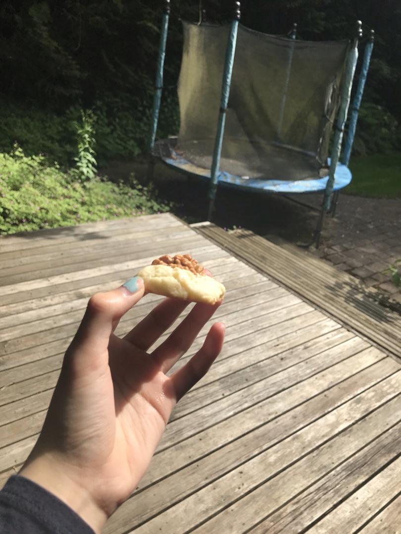 奶酪核桃饼干