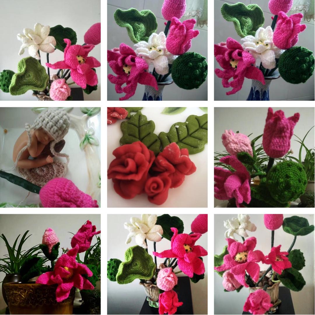 清新雅致的小花朵