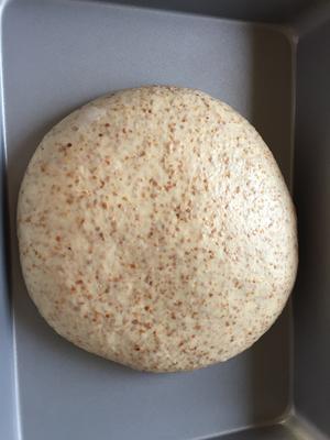 冷藏发酵中种法小麦胚芽庞多米吐司的做法 步骤4