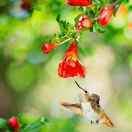 手机用户8308_iopt