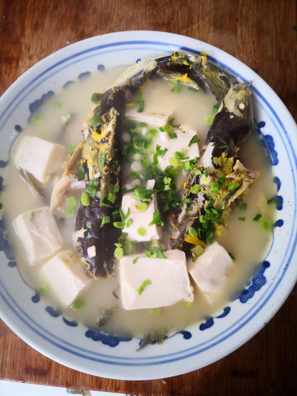 吃不胖的燕子做的2021年03月21日