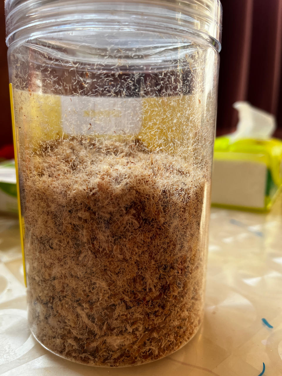 自制猪肉松（简易版）