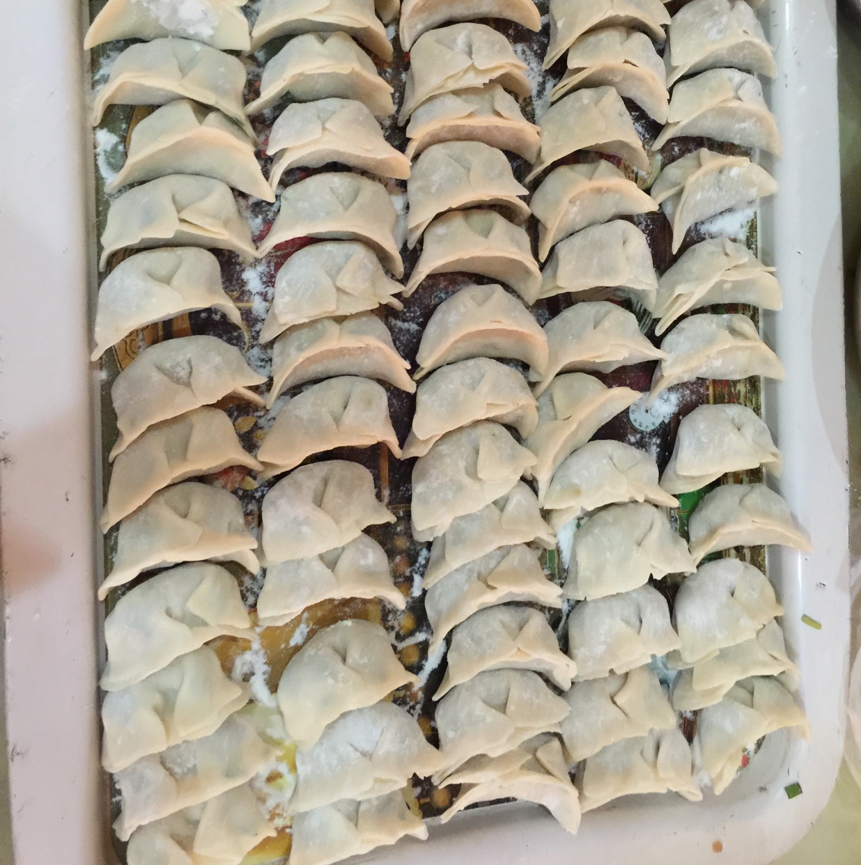 韭菜鲜肉馅饺子