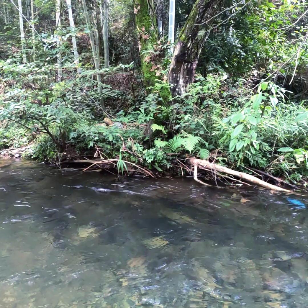 果肉酱汁的厨房