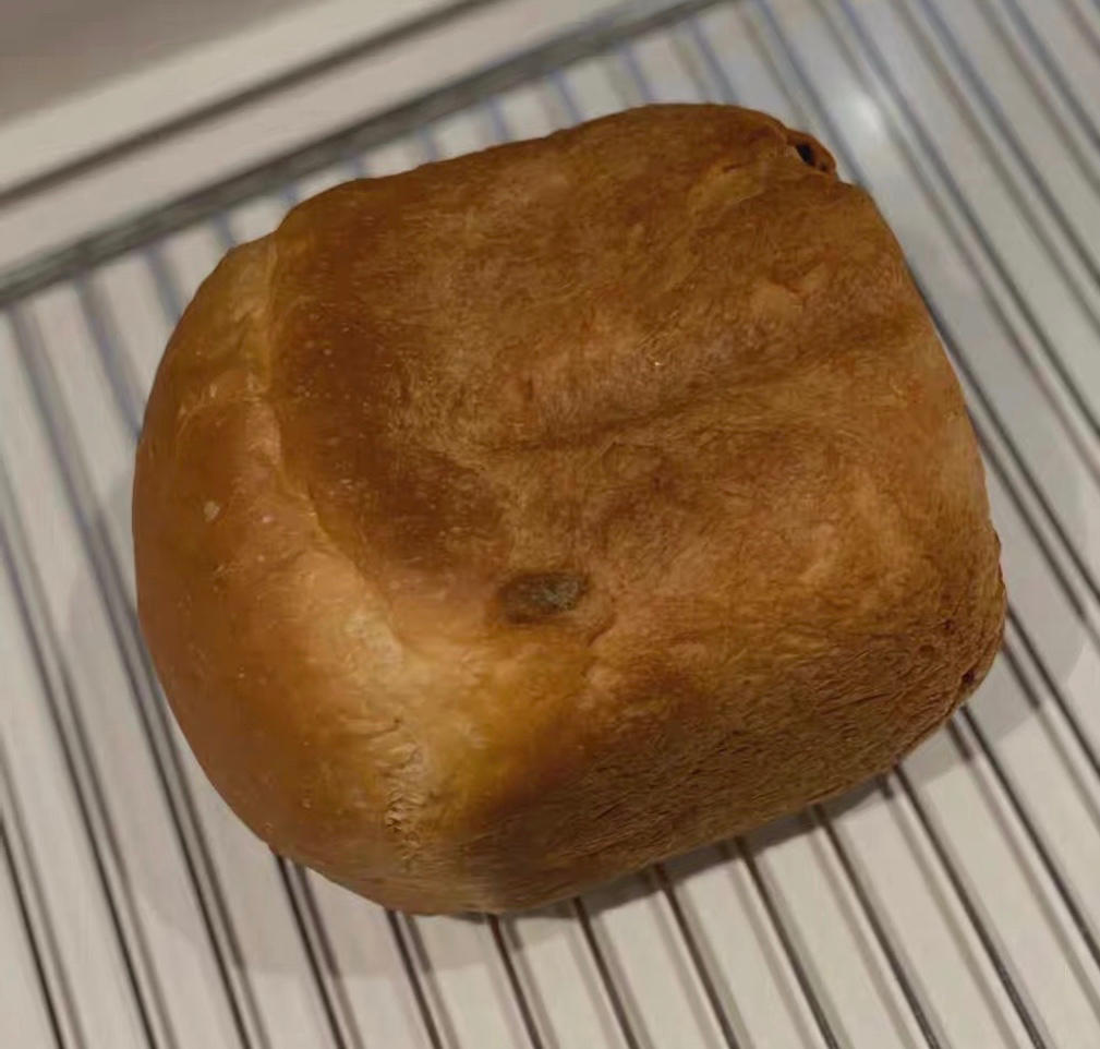 藜麦全麦吐司 | 松下面包机SD-PY100