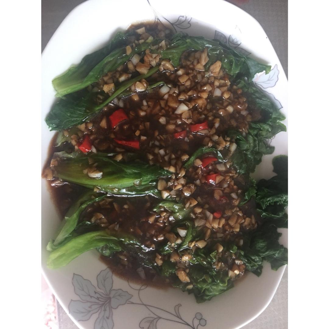 家常菜 蚝油生菜