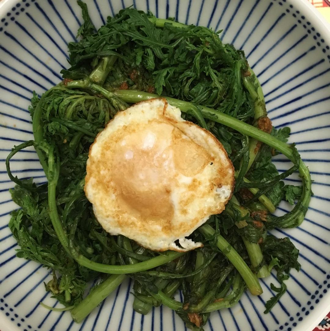 凉拌茼蒿
