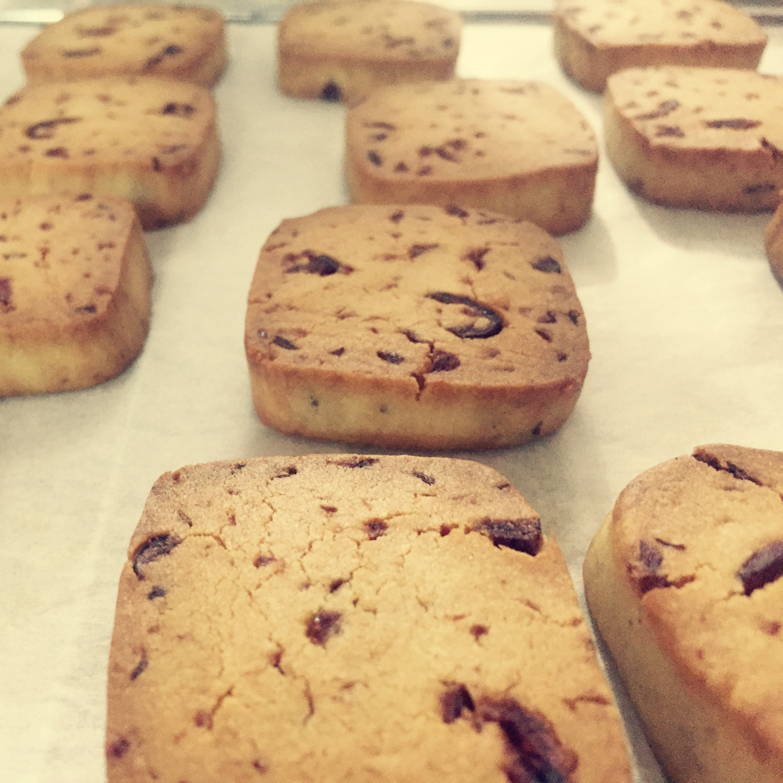 蔓越莓饼干（君之版改良）