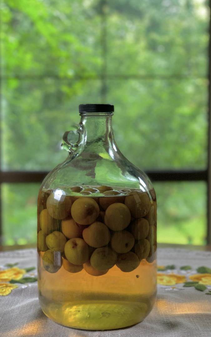 青梅酒（优的春日私酿第二話）