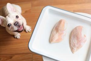 自制零食——风干鸡胸肉干（宠物食谱）的做法 步骤1