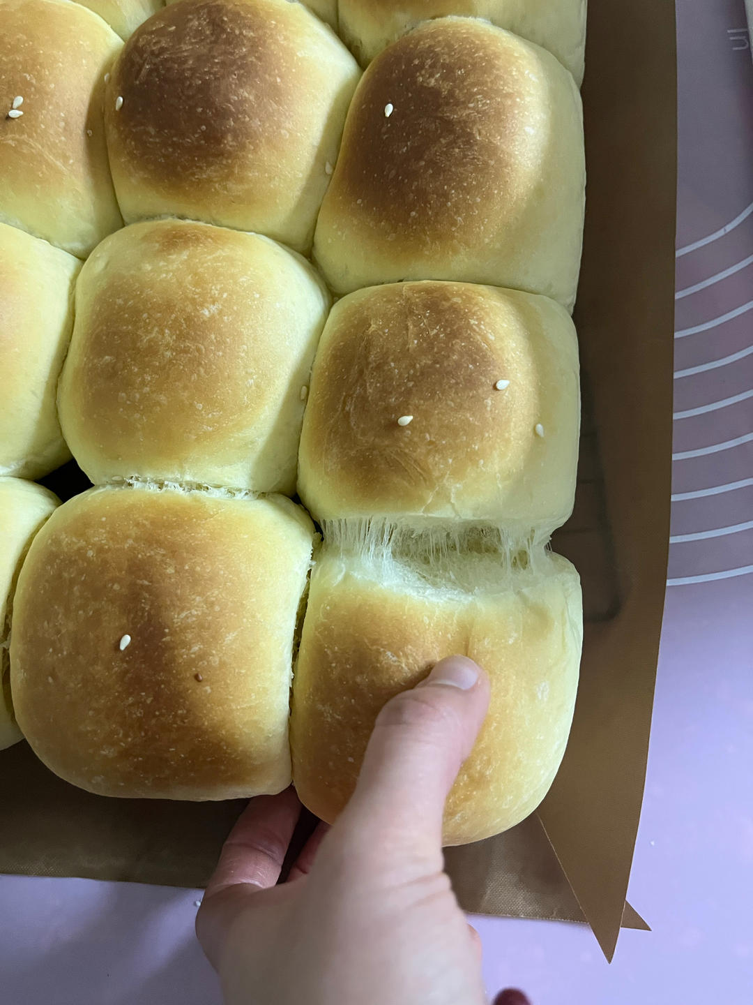 一次发酵绵柔奶油小餐包（消耗淡奶油）