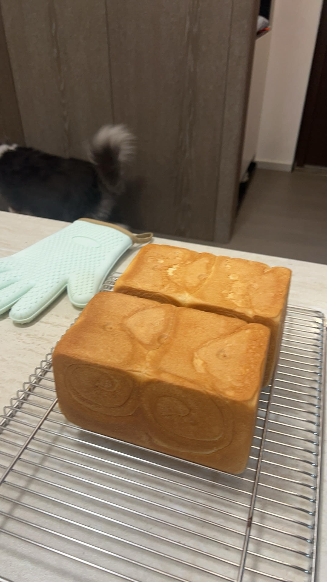 好吃到流泪的生吐司（直接法）