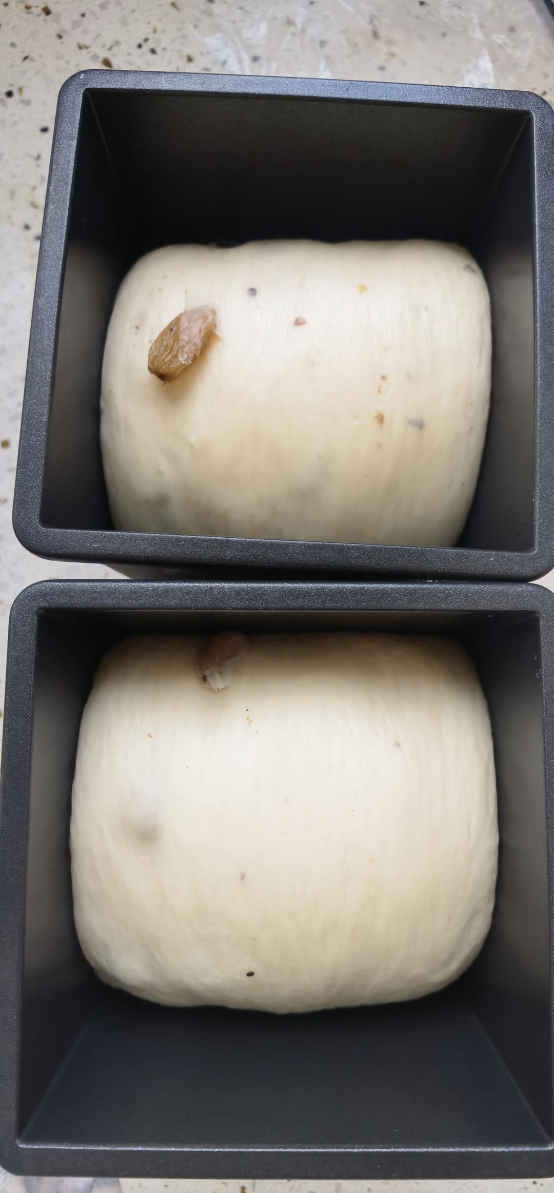 炼乳鲜奶提子吐司｜奶香加倍柔软加倍