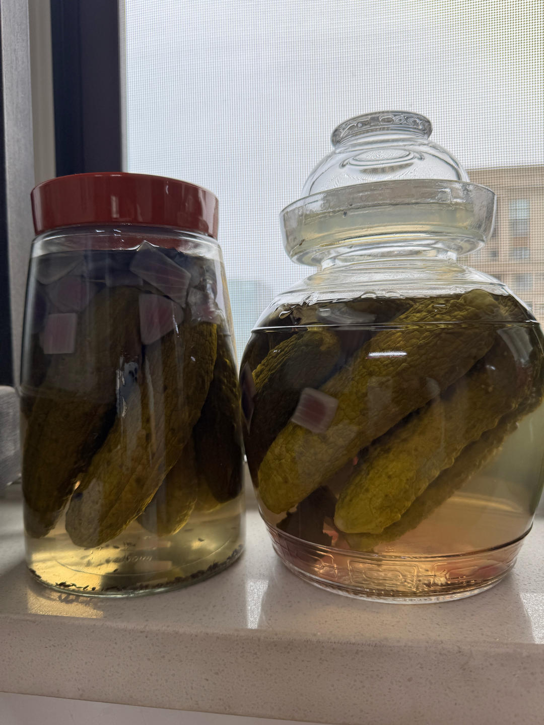 自制脆爽酸黄瓜，方子来自“杰儿美食”感谢作者分享的视频教程。