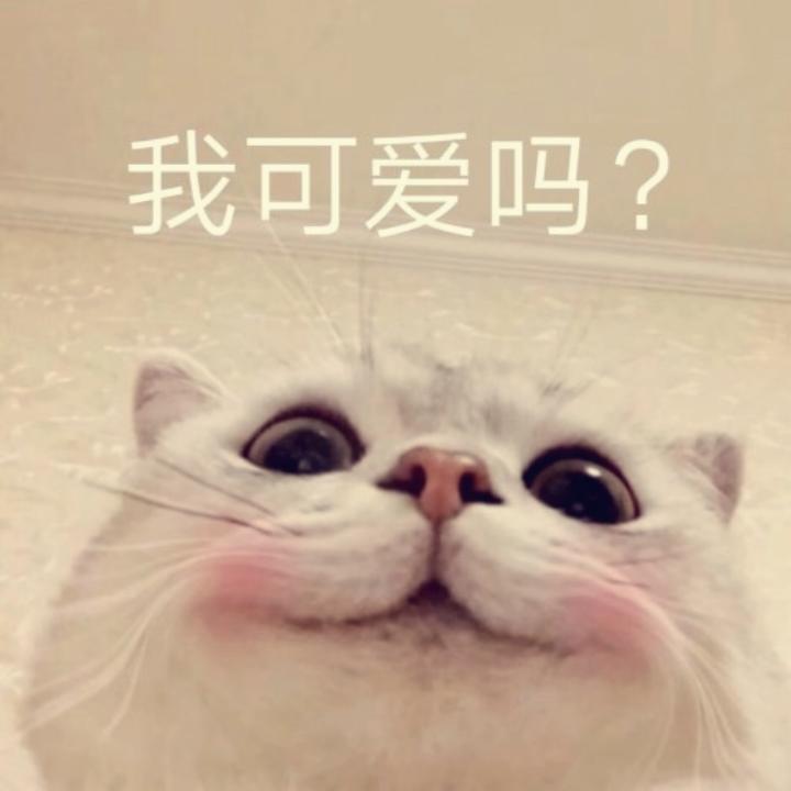 爱吃肉肉580