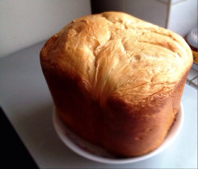 柏翠PE8990SUG面包机做吐司---酸奶吐司