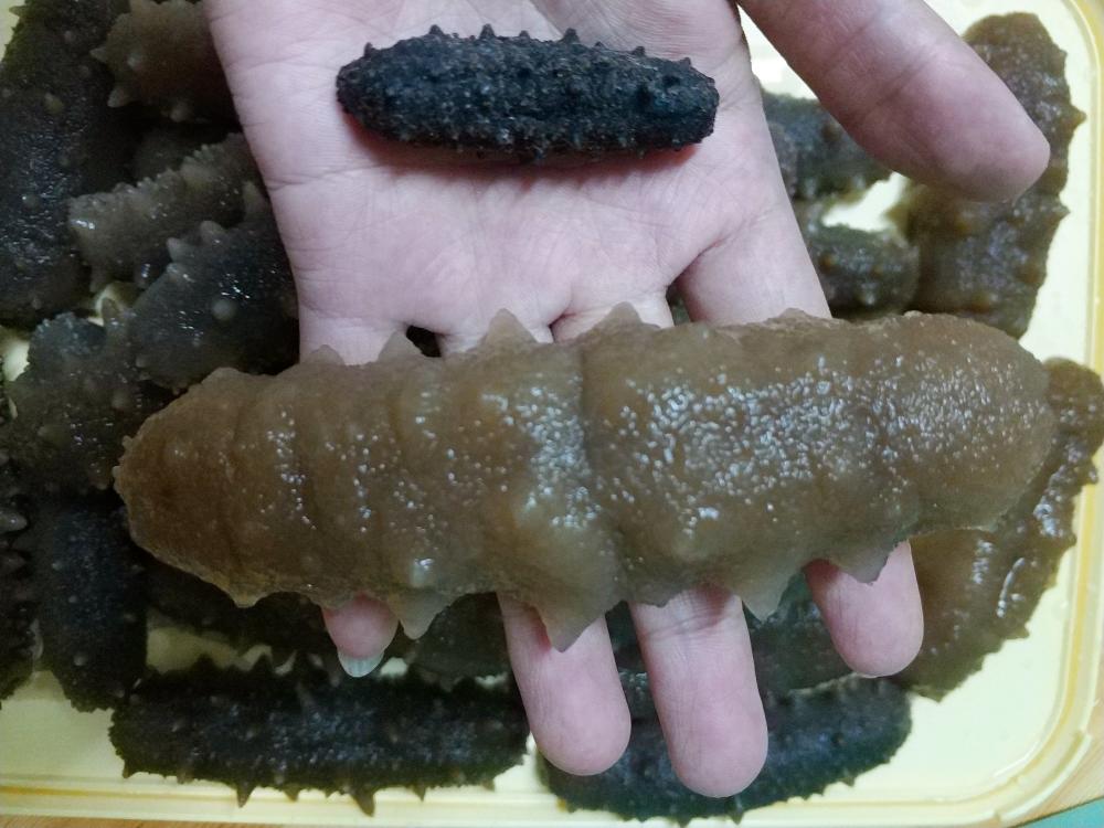 干海参泡发的方法