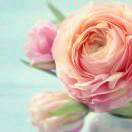 手机用户4407_8tc1