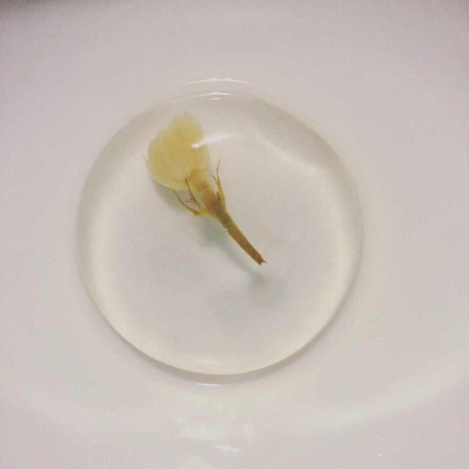 樱花水信玄饼