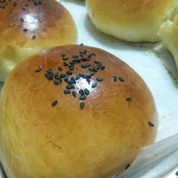 汉堡胚（中种法）