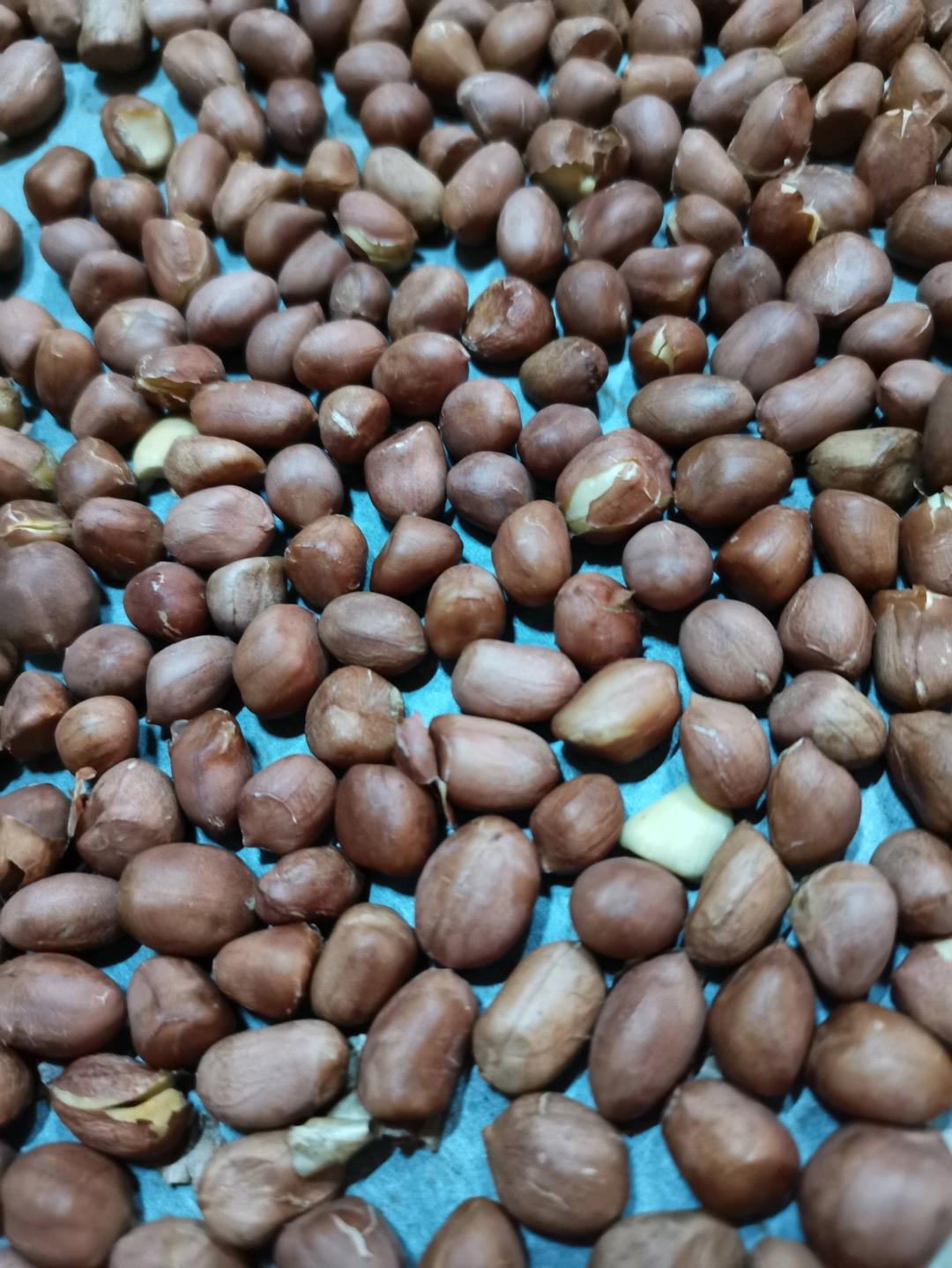 烤花生（原味 烤箱）