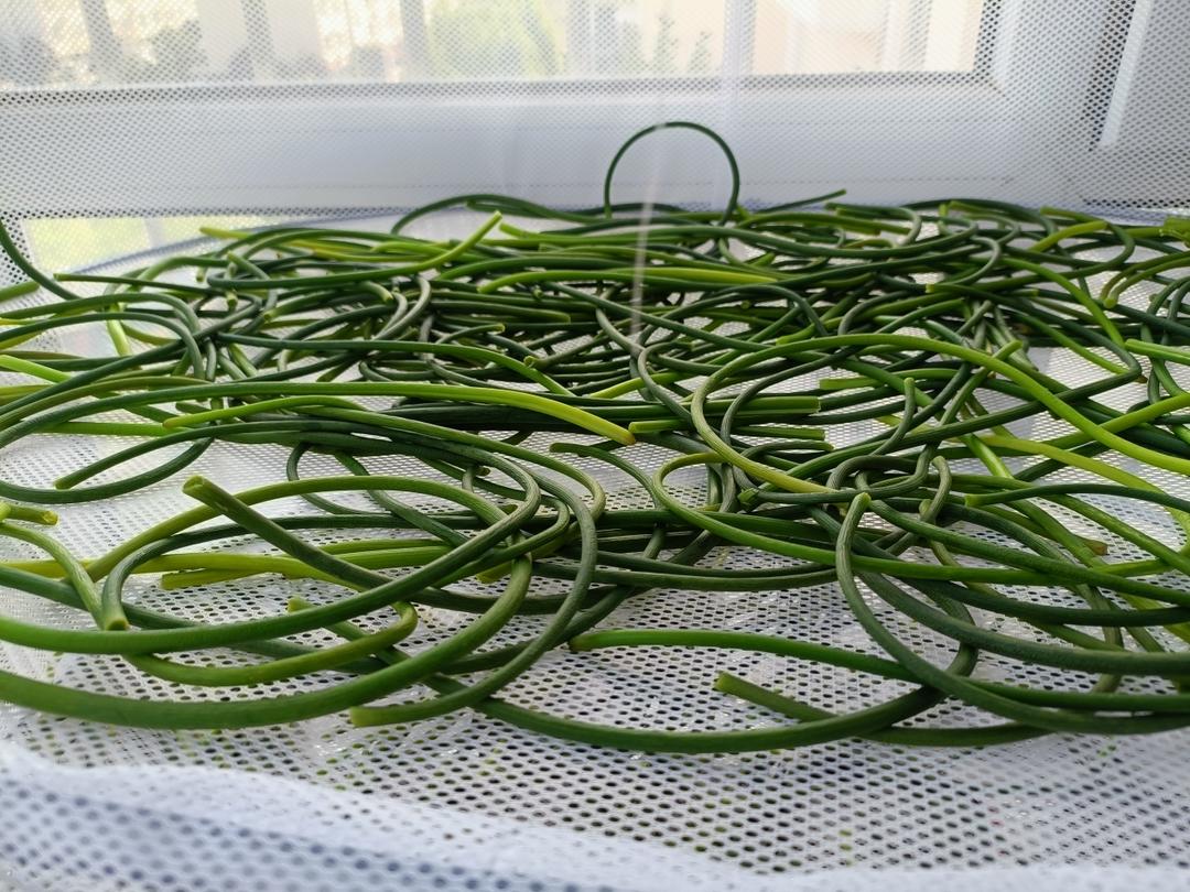 蒜苔的n种吃法之晒干