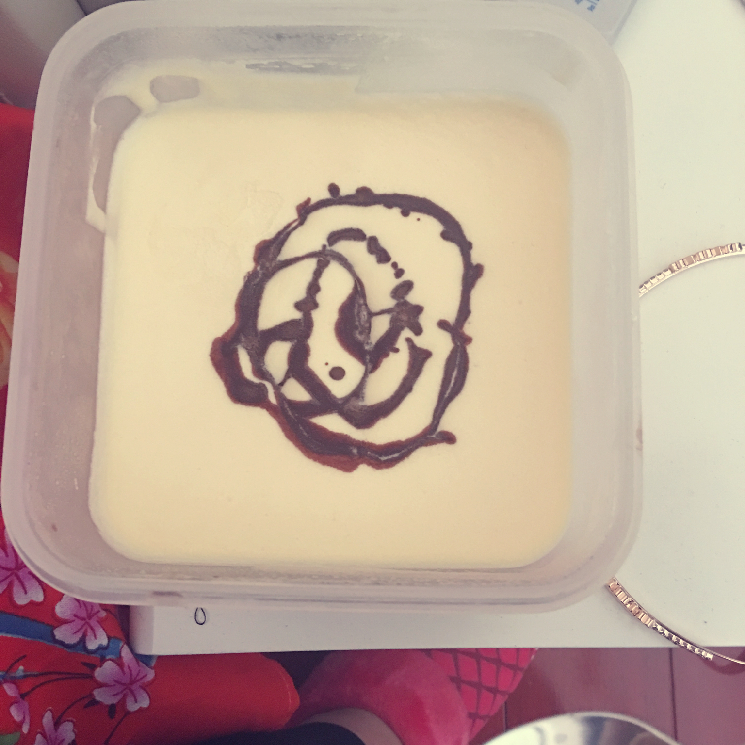 自制哈根达斯风味的冰淇淋