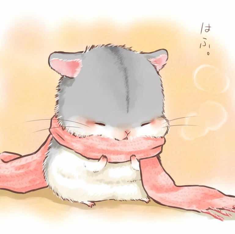 �兔叽