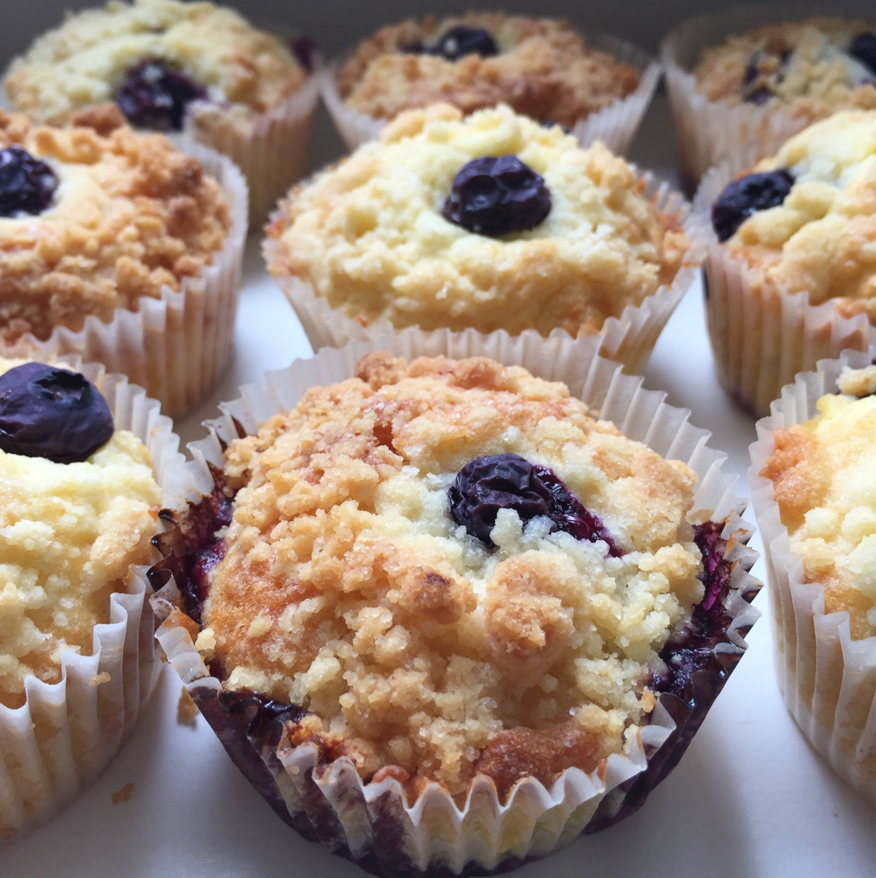 PH大师的金宝顶蓝莓马芬