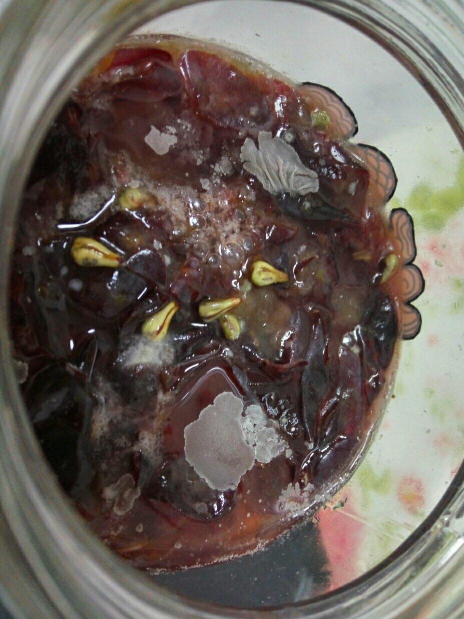 自制葡萄酒