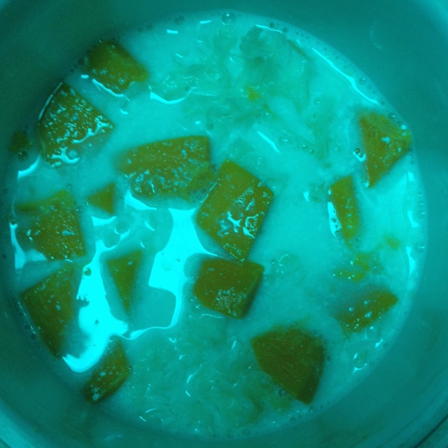 冰糖银耳牛奶炖木瓜