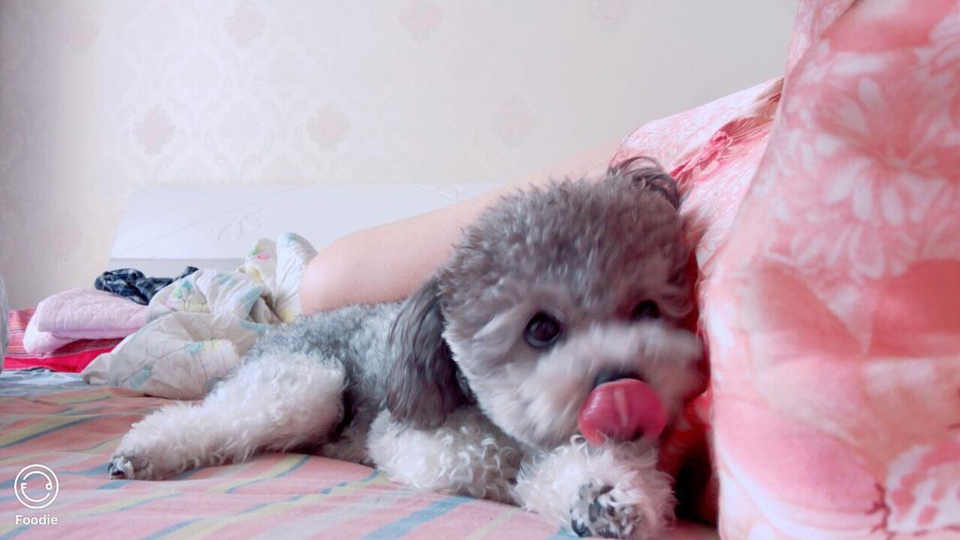 超简单炸酱面的酱！