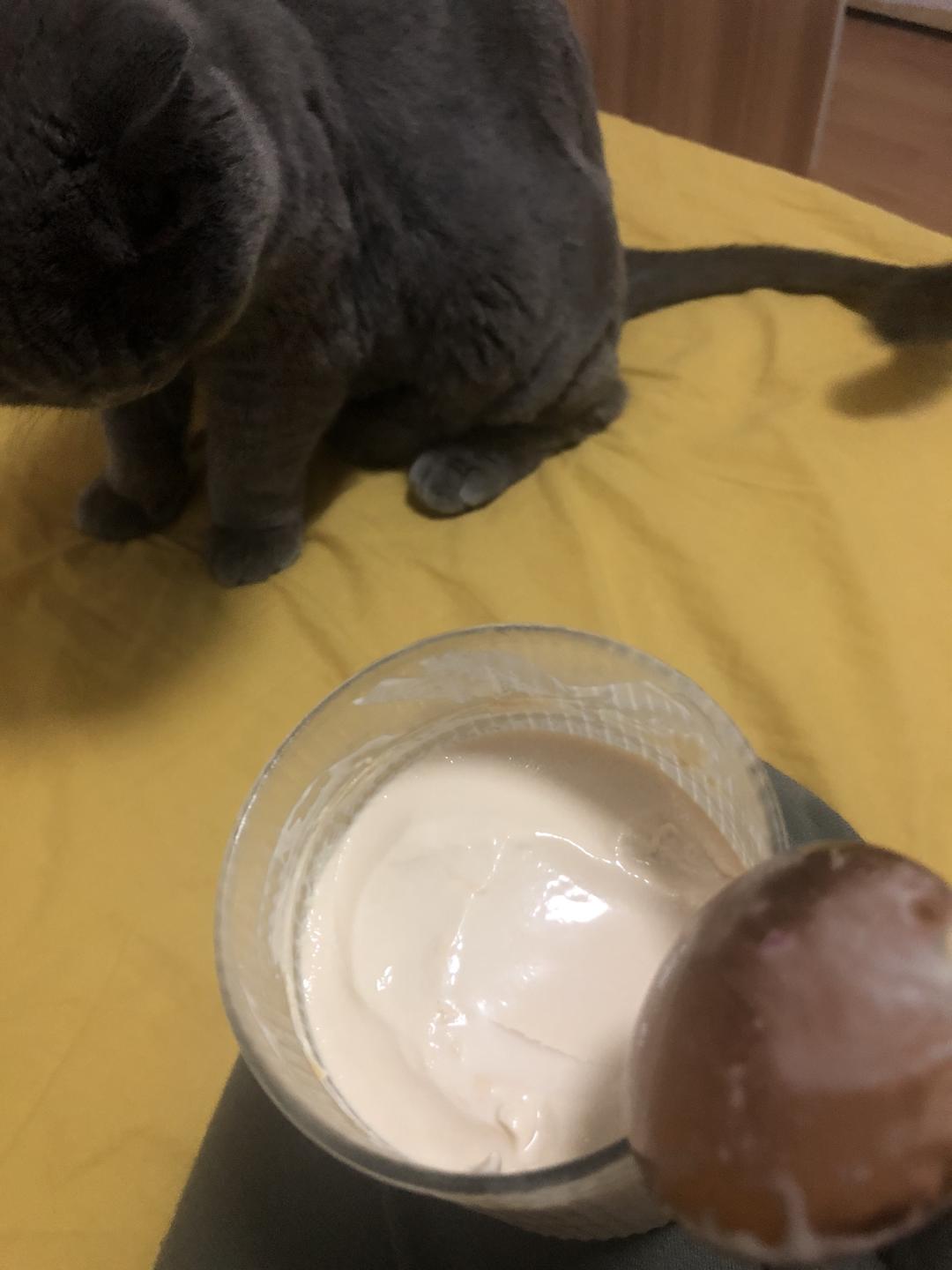 懒人都能做的电饭煲奶冻