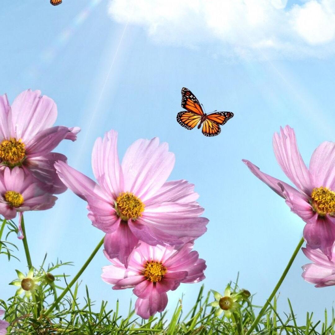 手机用户1678_kwxn