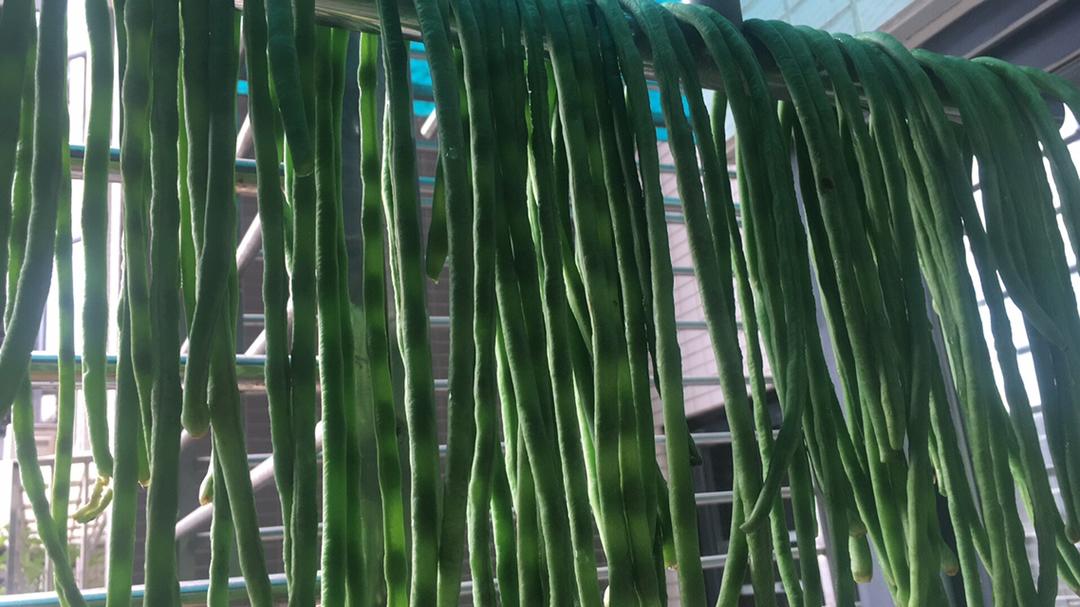 做干豇豆（豆角）的做法