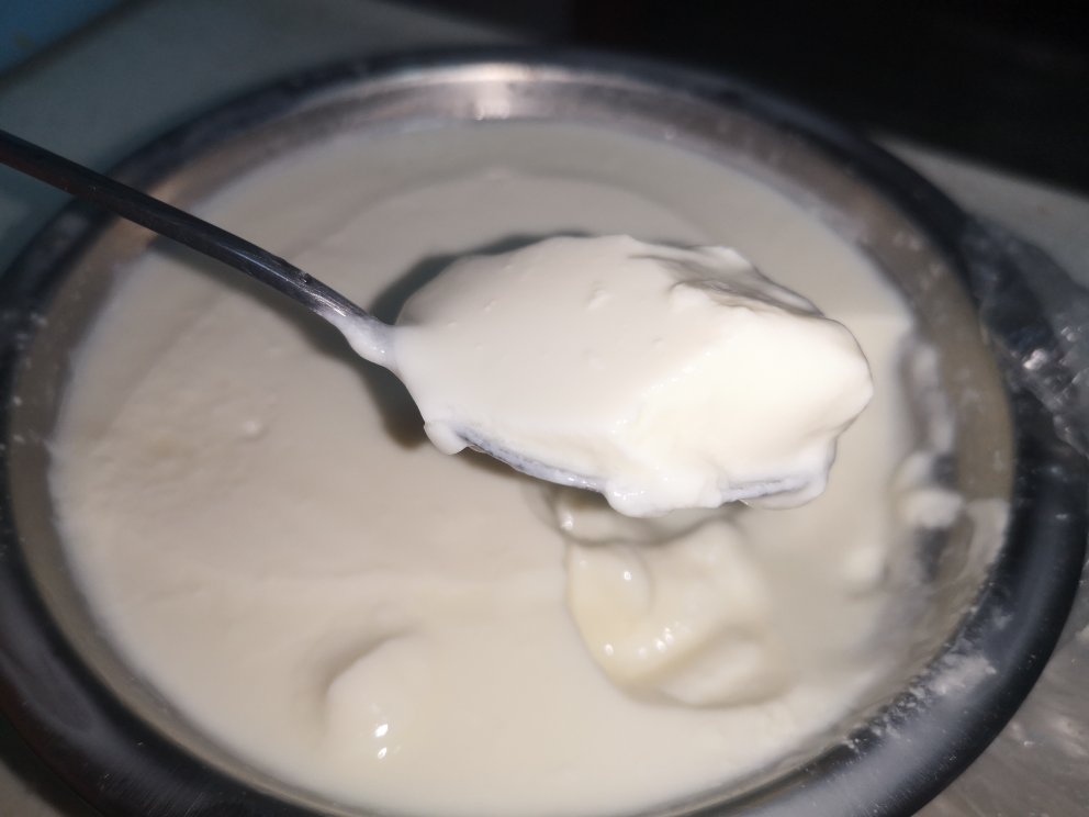 酸奶，自制酸奶，浓厚醇香
