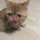 滚滚红尘中