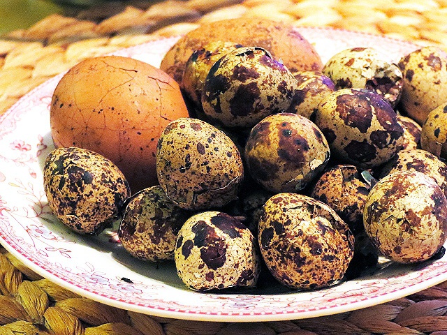 香卤鹌鹑蛋